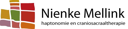 logo-nienkemellink_509x116
